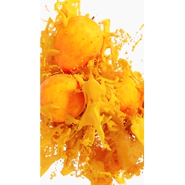 Totapuri Mango Pulp