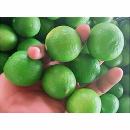 lemon