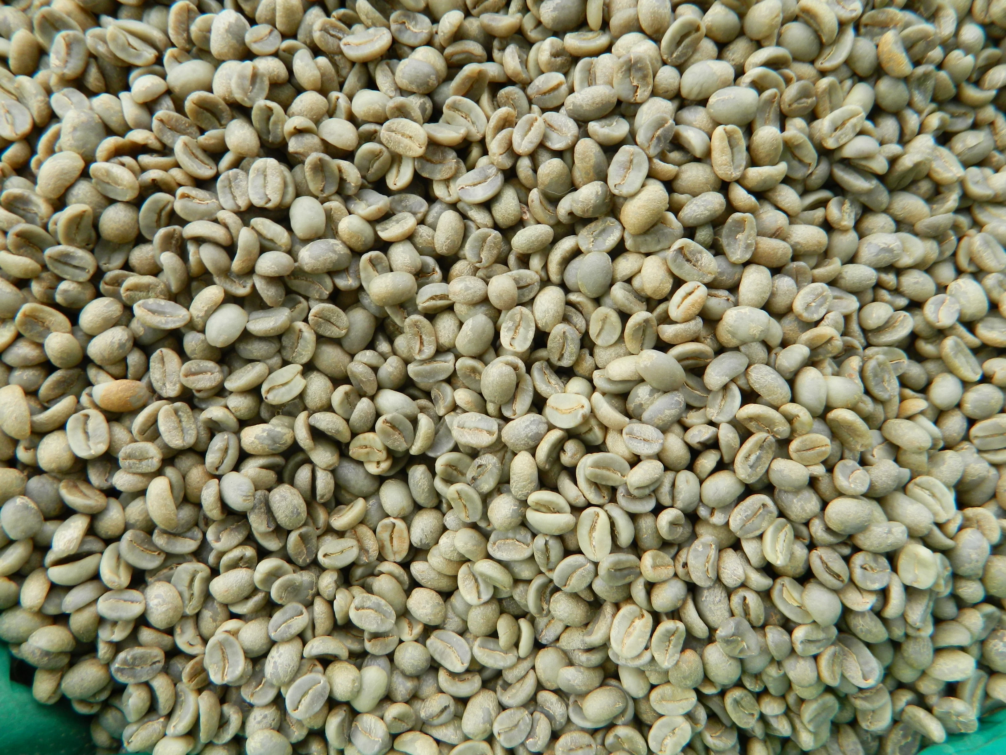 Araku Arabica Green Coffee Beans-2