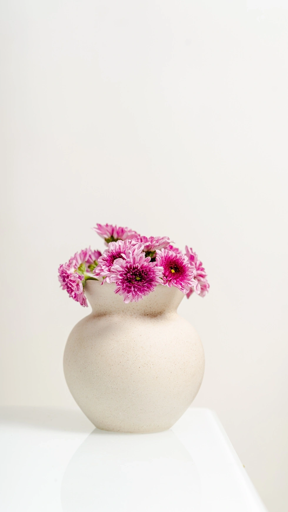 Pink flowers in a beige ceramic vase on a white surface against a light background.