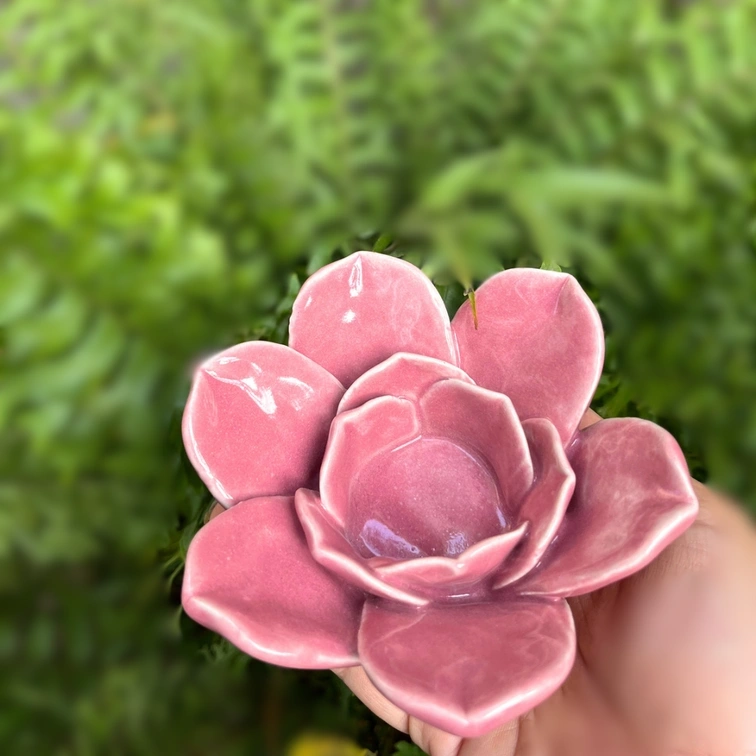 Hand holding a glossy pink succulent with a blurred green background.