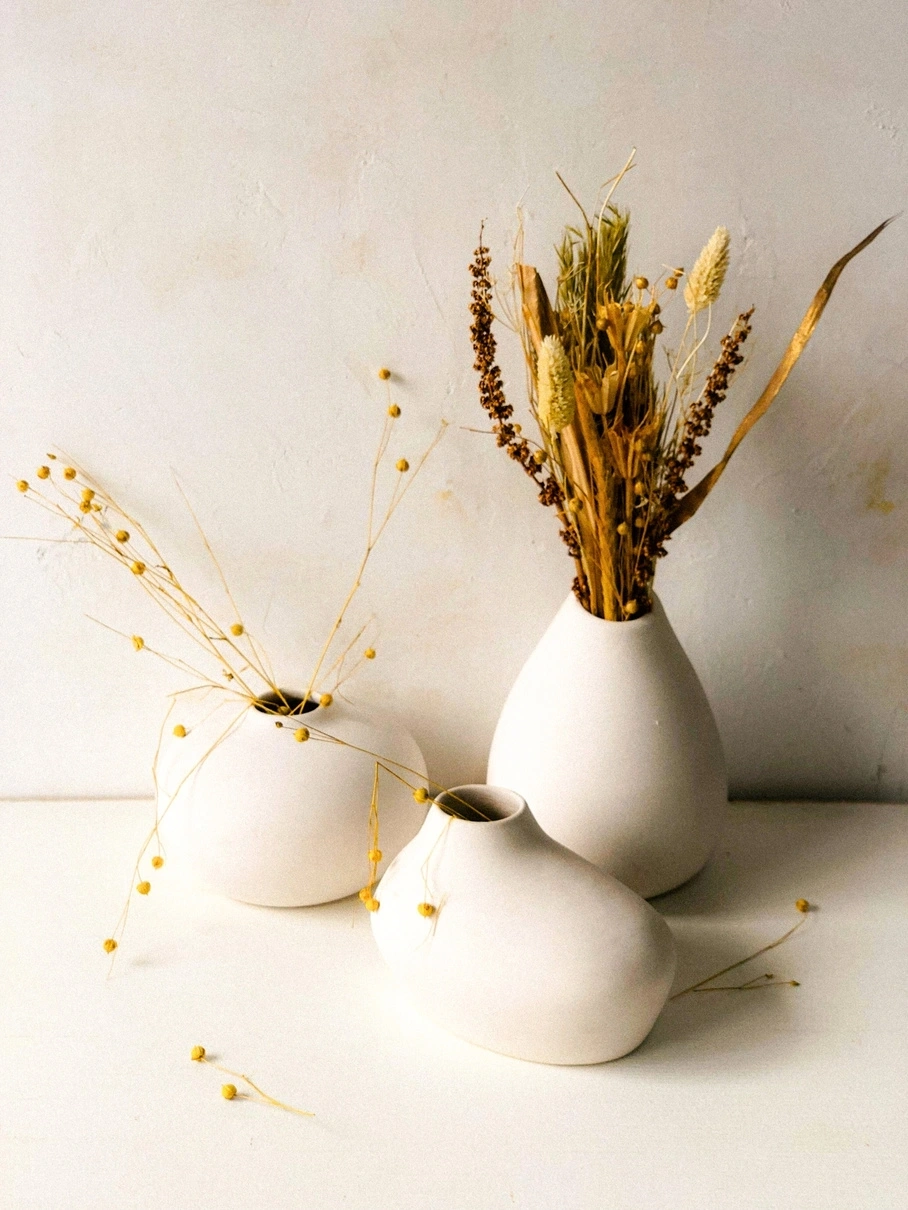 Two white vases with dried plants on a light background.