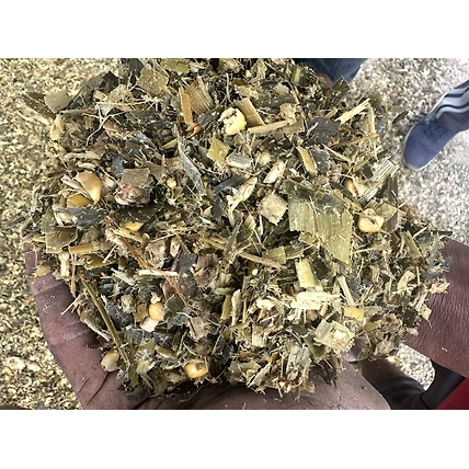 Silage-1