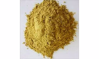 Myrobalan Powder with Seed