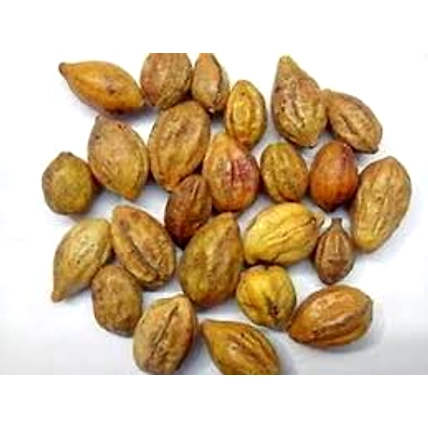 Myrobalan Powder with Seed-1