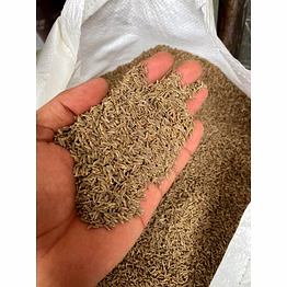 cumin seeds