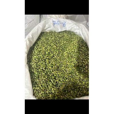 Cardamom