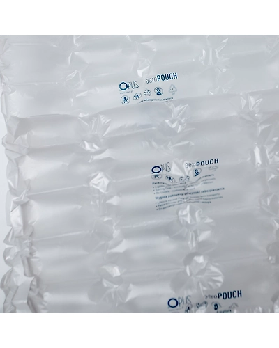 Air cushion for shoe-3