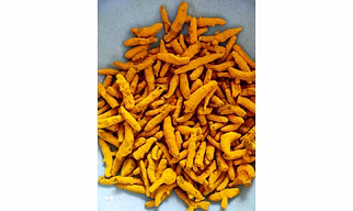 Turmeric Fingers & Powder