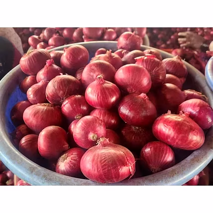 ONION-1