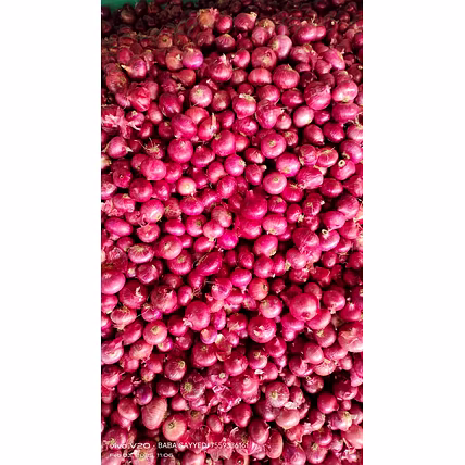 ONION-2