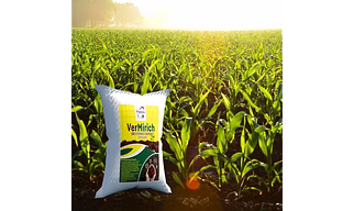 Vermirich vermi compost fertilizer
