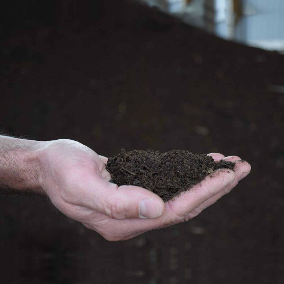 Soilenrich Cow Manure-1