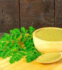 Moringa powder-1