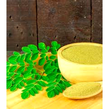 Moringa powder-1