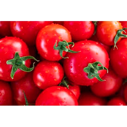 Tomato-1
