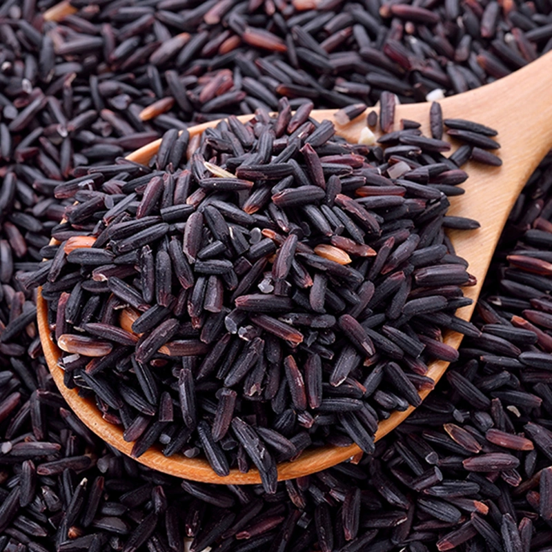 Black Rice-1