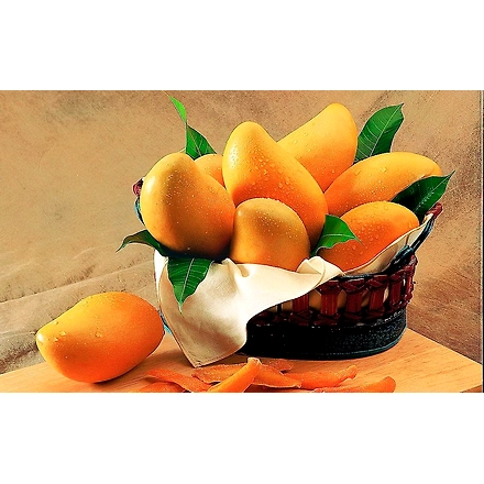 Alphanso Mango-12606104