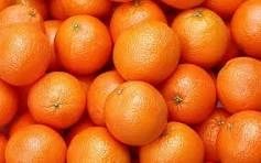 Oranges-2