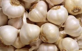 Garlic-12618708