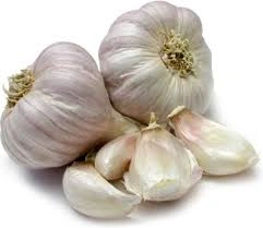 Garlic-1