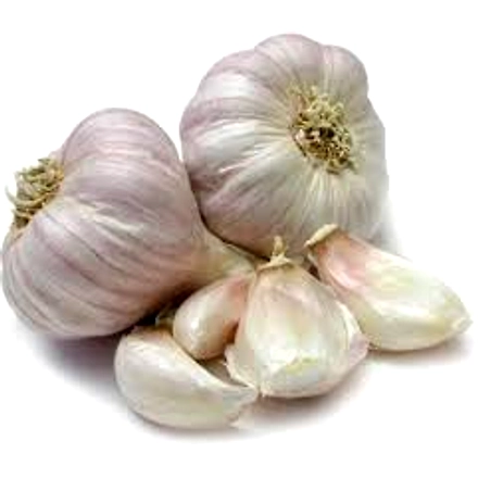 Garlic-1