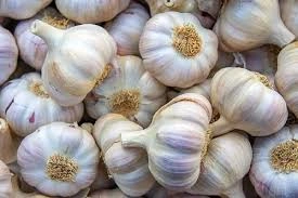 Garlic-2