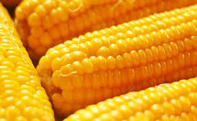 Sweetcorn-1