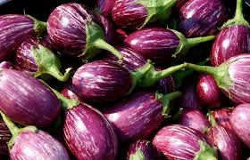 Eggplant-3