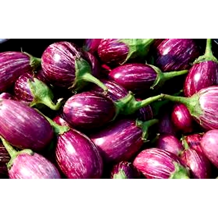 Eggplant-3