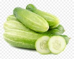 Cucumber-2