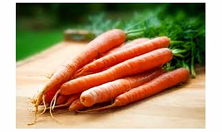Carrot