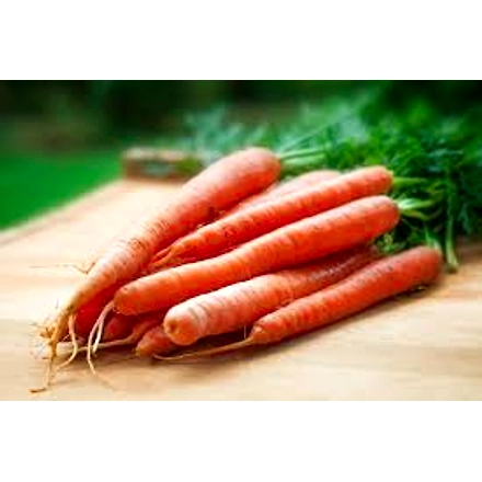 Carrot-12618696