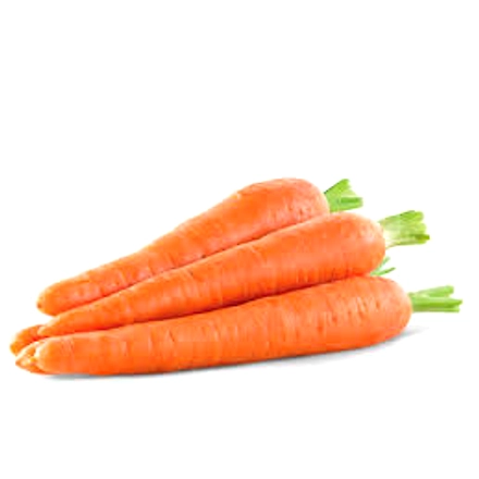 Carrot-1