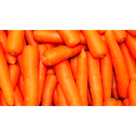 Carrot-2