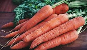 Carrot-3