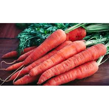Carrot-3