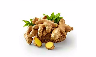 Ginger