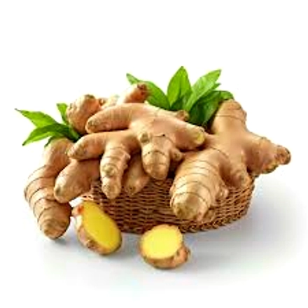 Ginger-12618694