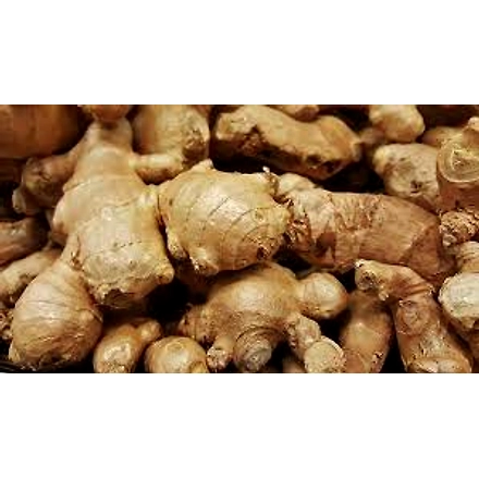 Ginger-1