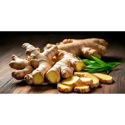 Ginger-2