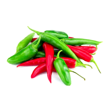 Chilli-12618692