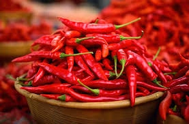 Chilli-4