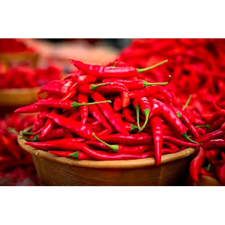 Chilli-4