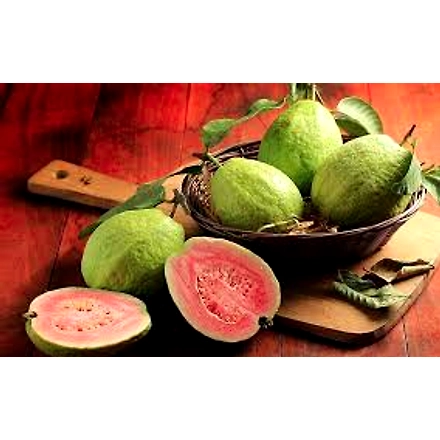 Guava-12618688
