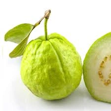 Guava-1