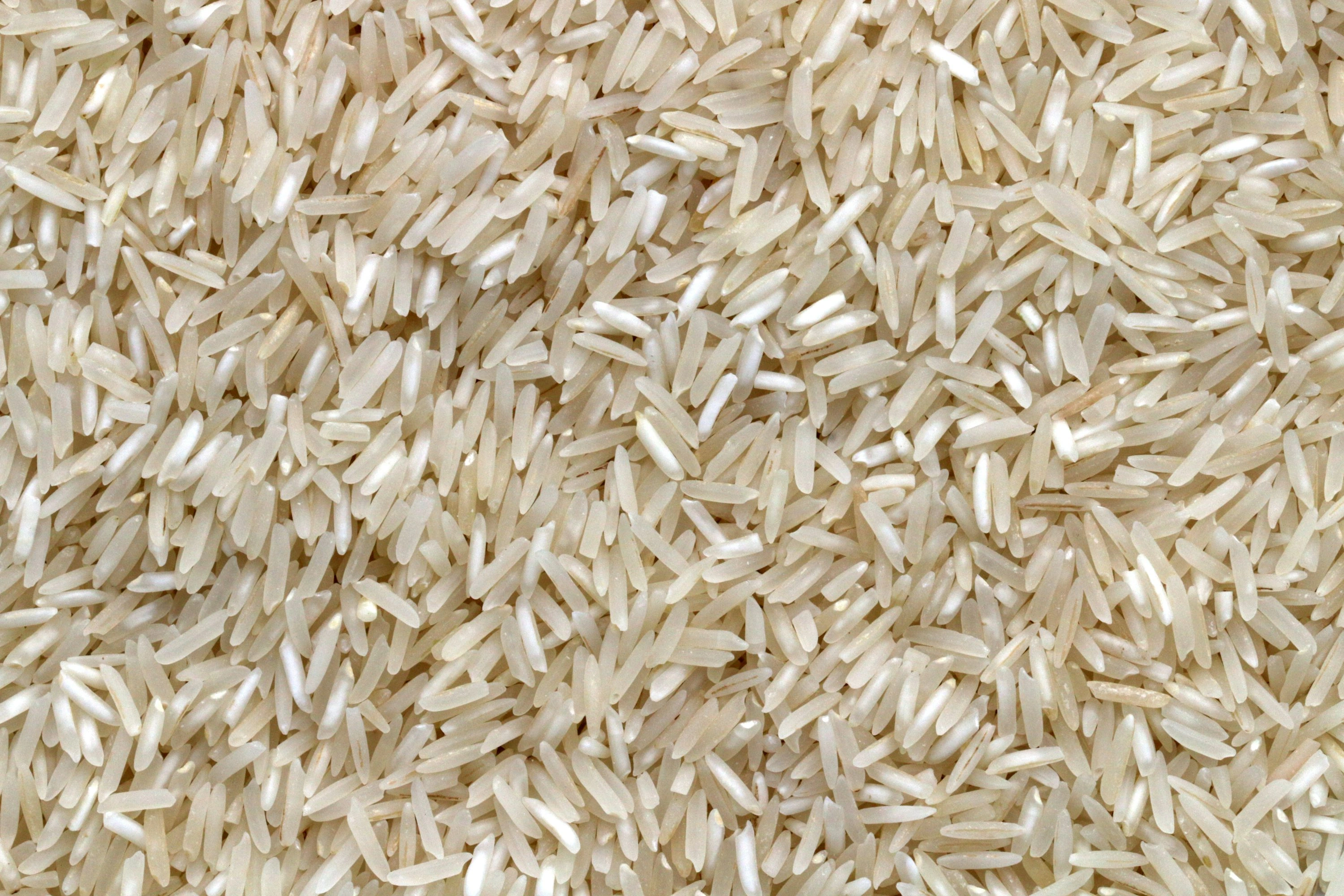 Rice-4