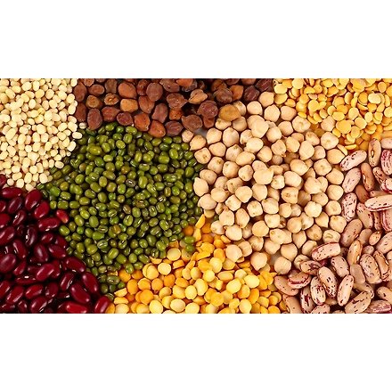 Lentils-3