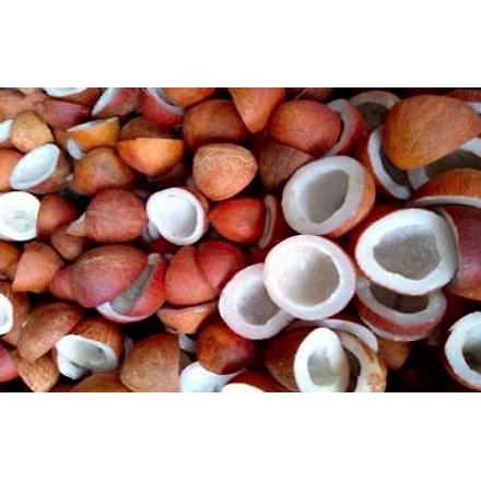 Dried Coconuts-5