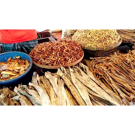 Dried Fishes-3